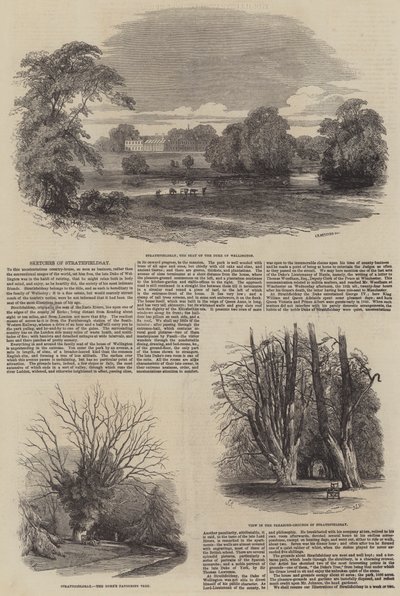 Sketches of Strathfieldsay by Samuel Read